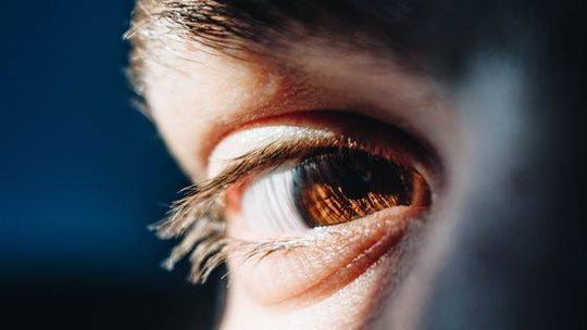 Book An Eye Test