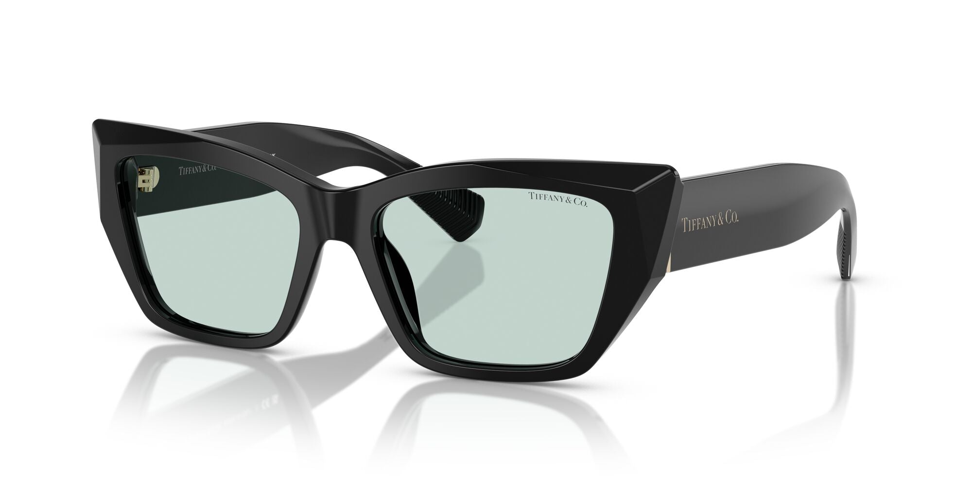 TIFFANY-0TF4230F-8001D9-5417-SUNGLASSES product image