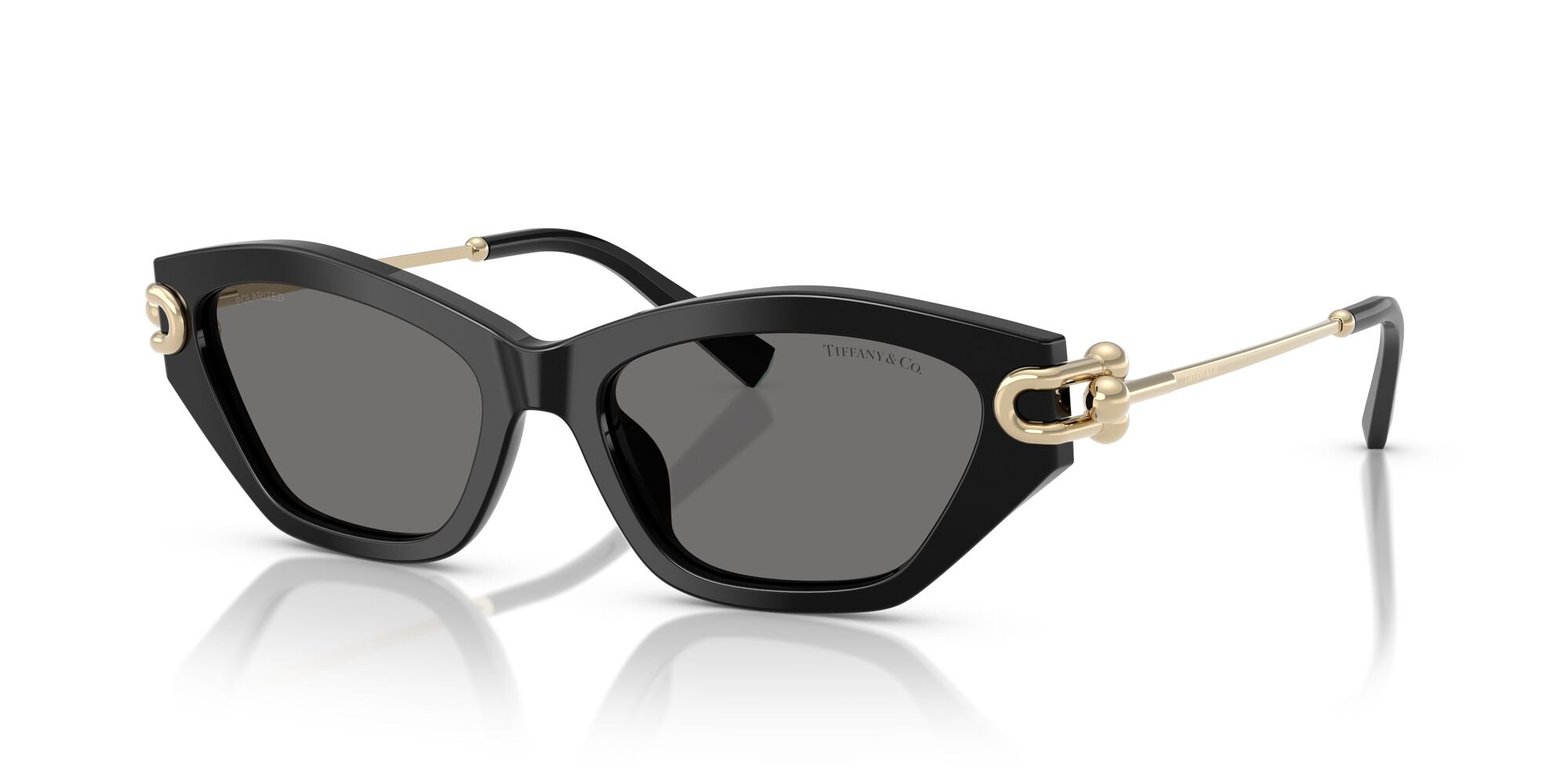 TIFFANY-0TF4231U-800181-5317-SUNGLASSES product image