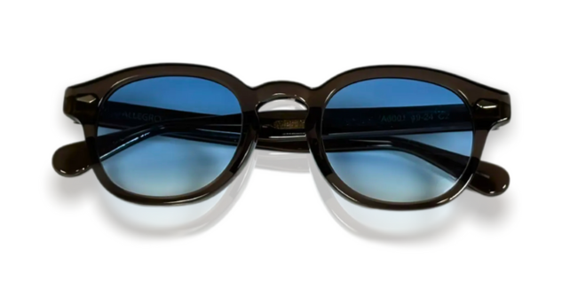 ALLEGRO-A0001S-C2-4924-SUNGLASSES product image