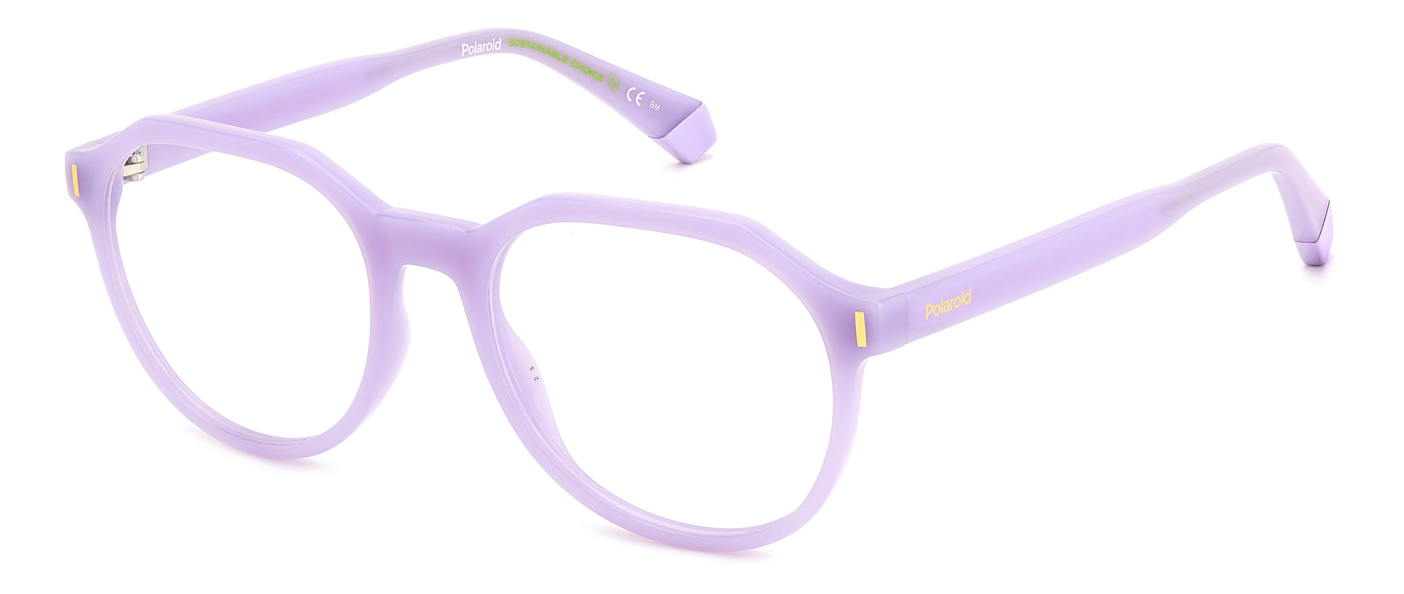 POLAROID-PLD D483-789-5219-SPECTACLE FRAMES product image