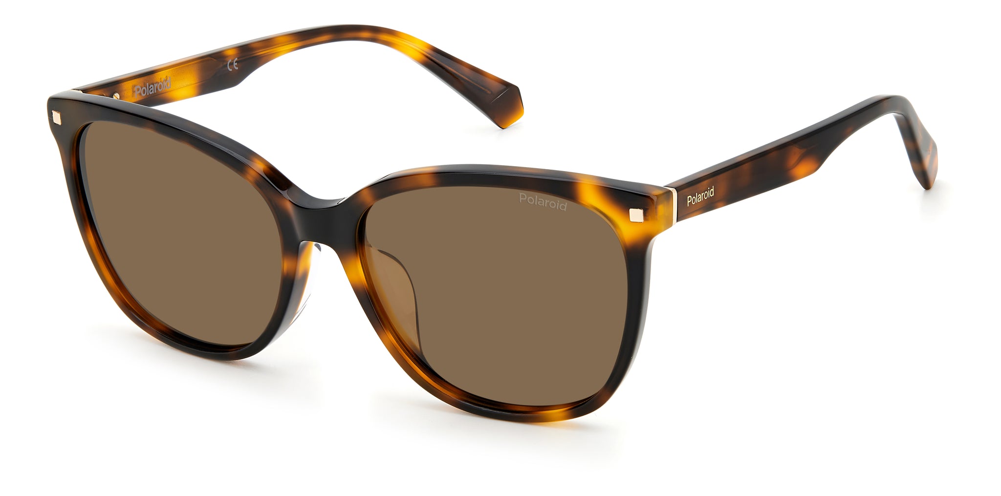 POLAROID-PLD 4113/F/S/X-86-5917-SUNGLASSES product image