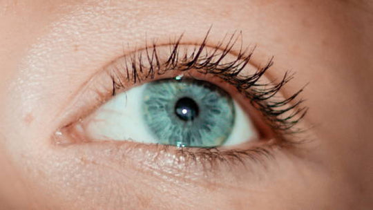 How To Put In Contact Lenses