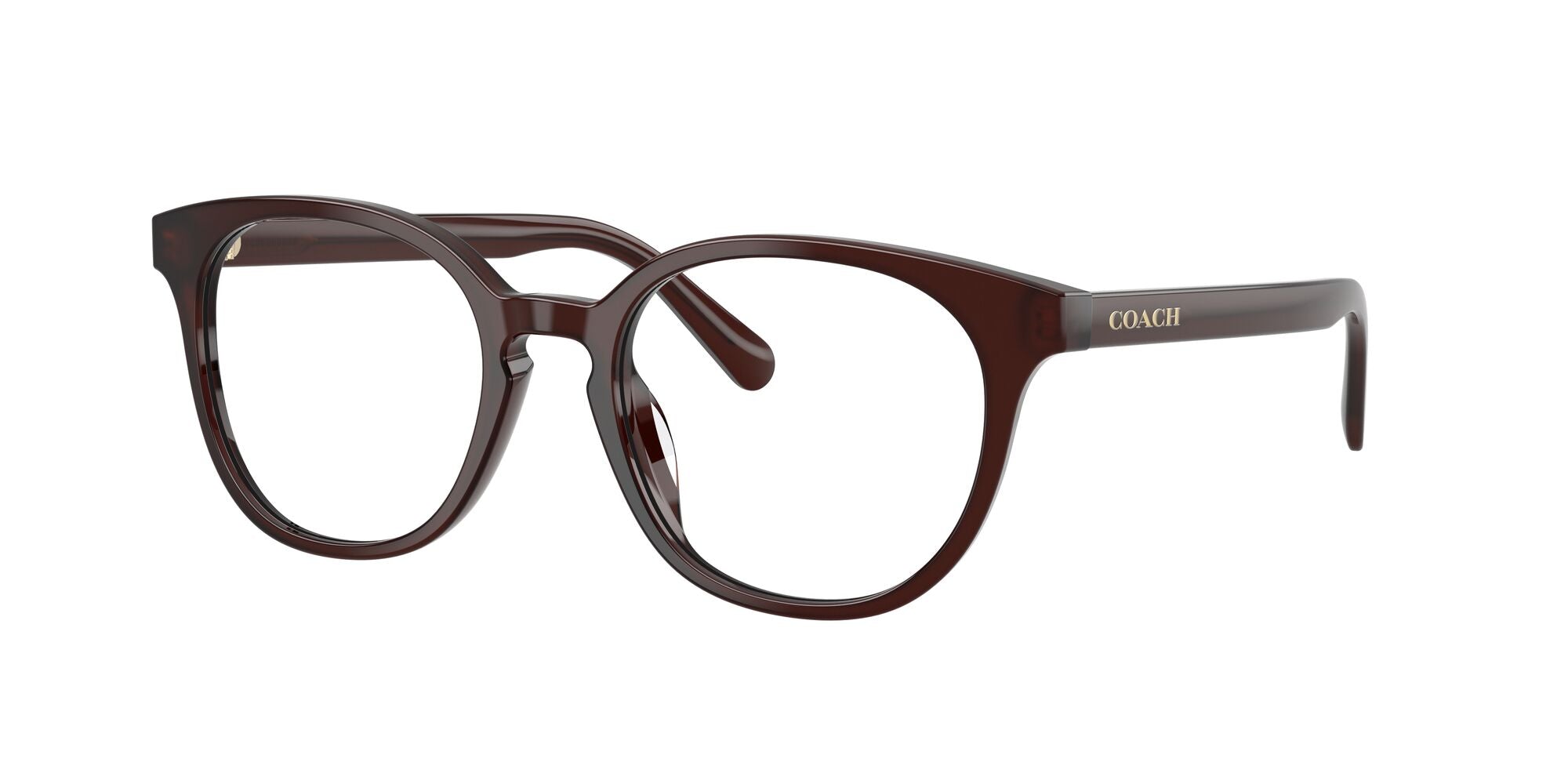 COACH-0HC6301F-5968-5218-GLASSES FRAMES product image