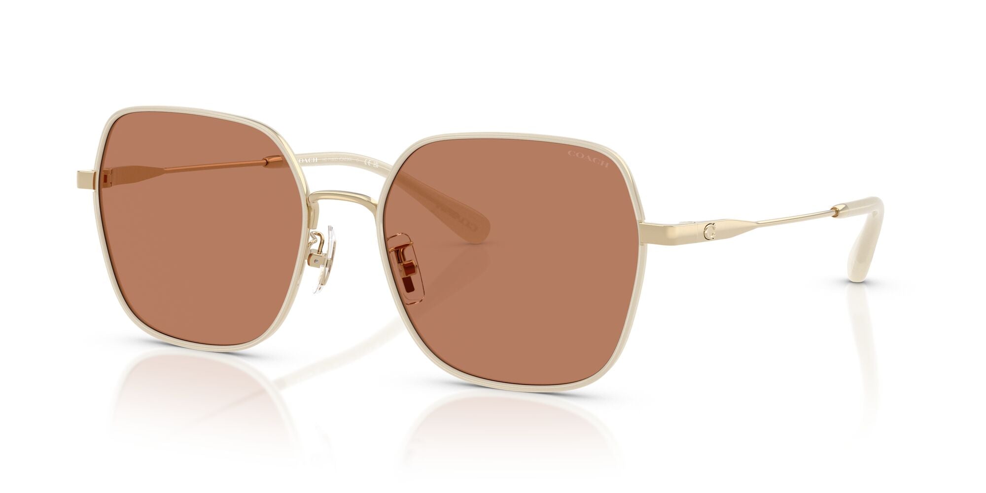 COACH-0HC7180D-94683-5719-SUNGLASSES product image
