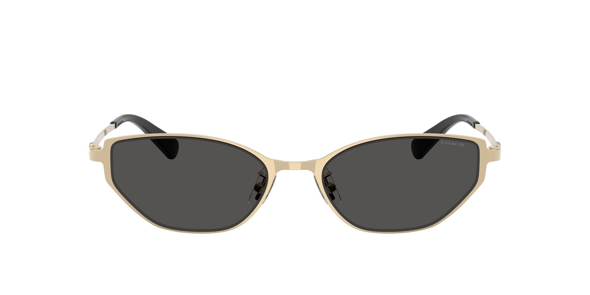 COACH-0HC7196D-900130-5418-SUNGLASSES