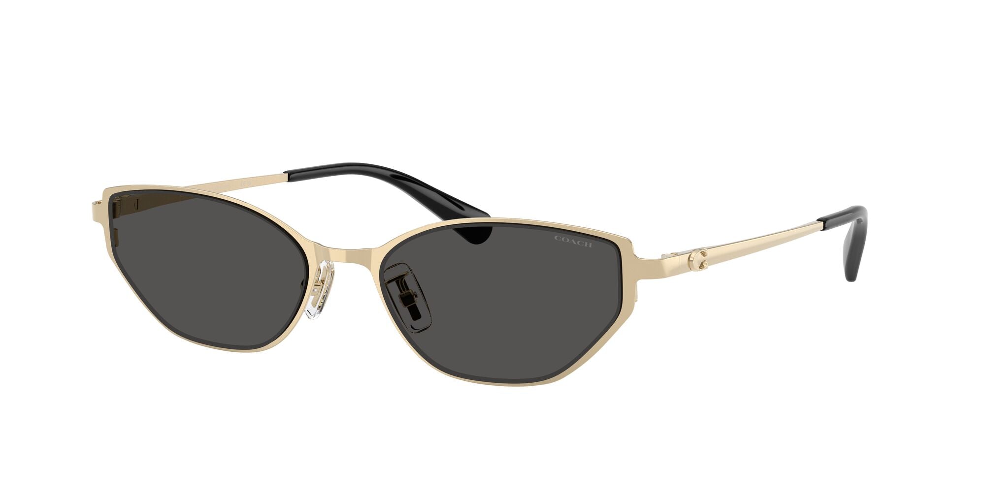 COACH-0HC7196D-900130-5418-SUNGLASSES product image