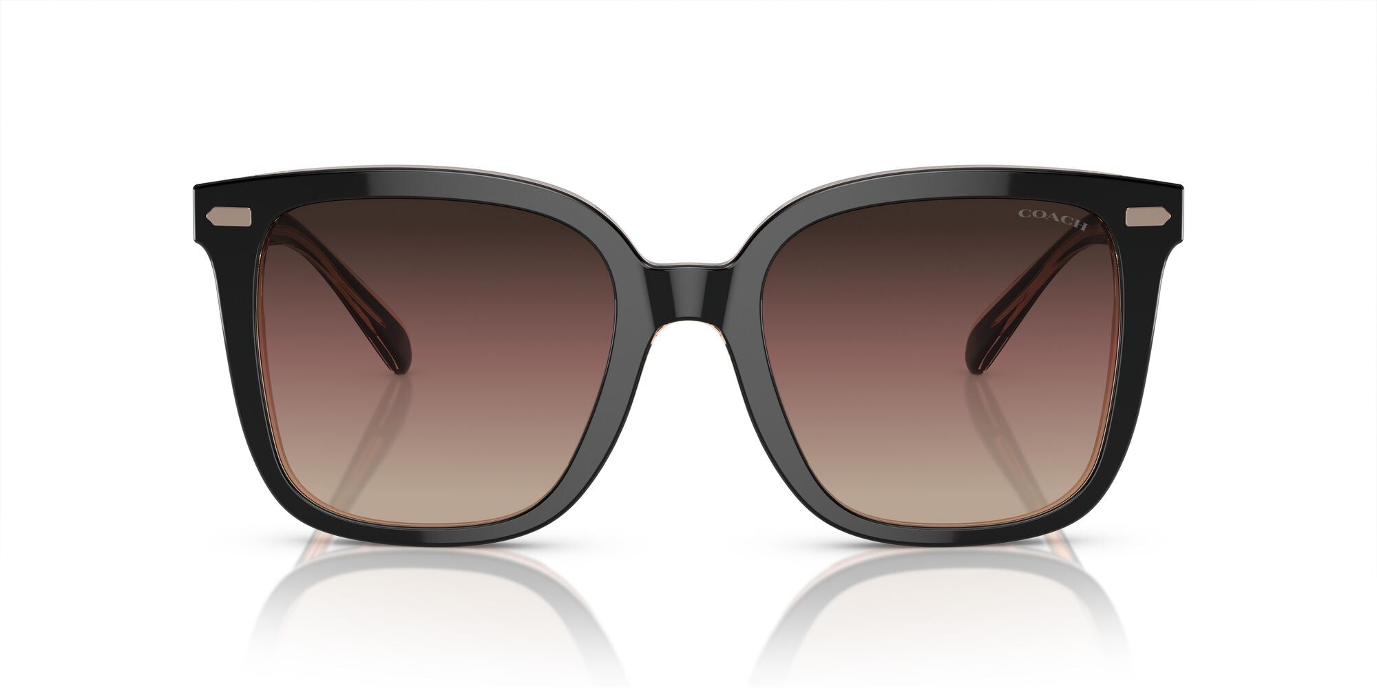 COACH-0HC8381F-5781E2-5619-SUNGLASSES