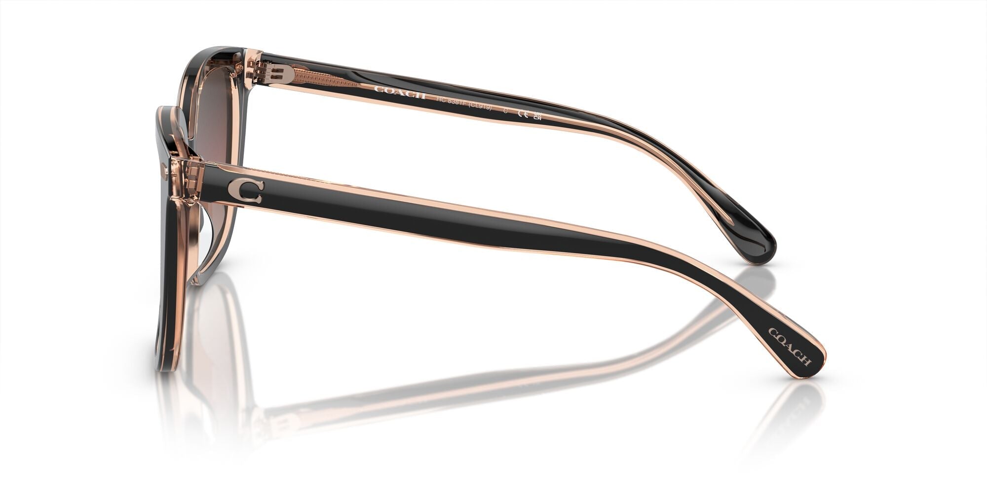 COACH-0HC8381F-5781E2-5619-SUNGLASSES