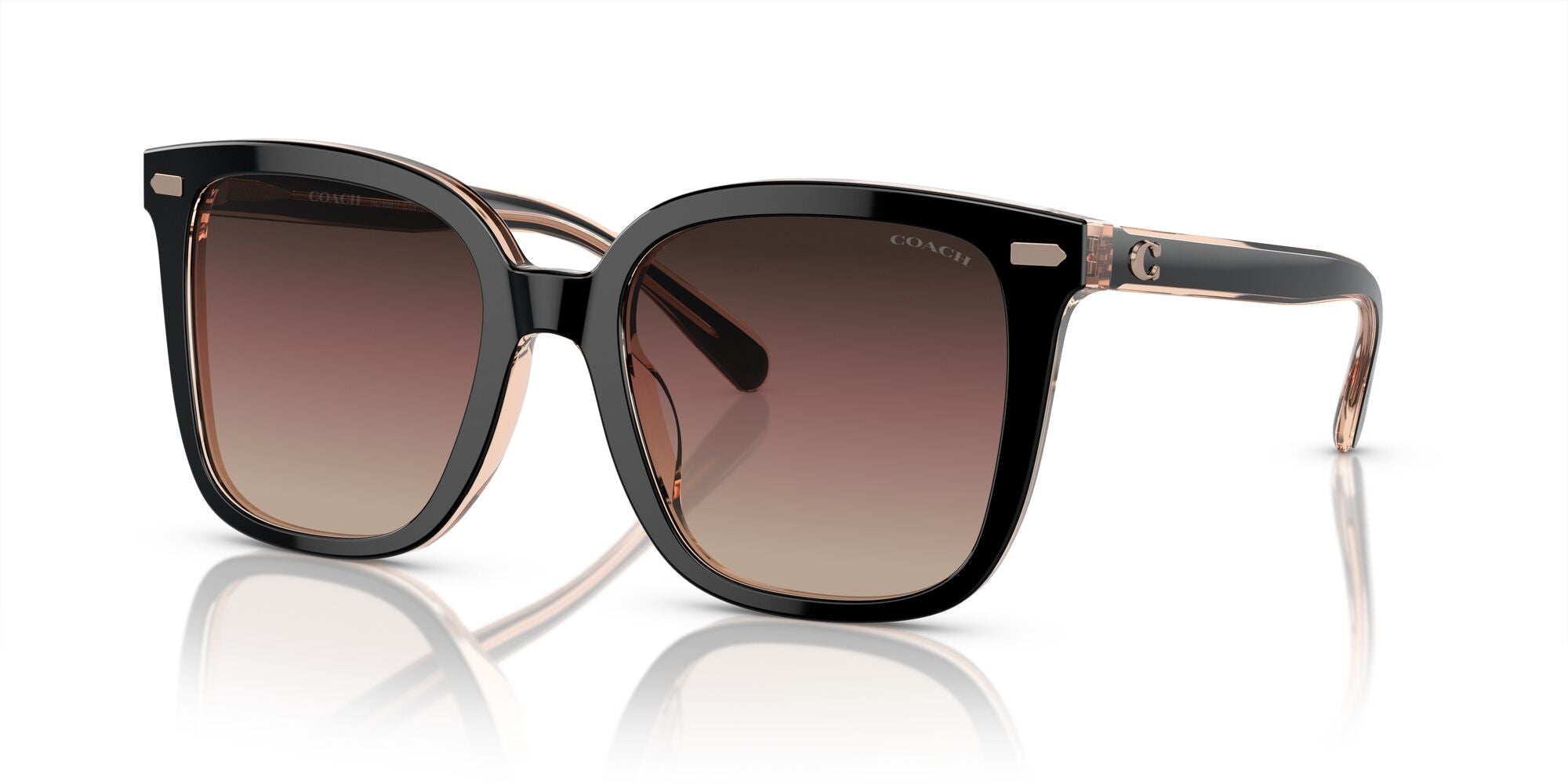 COACH-0HC8381F-5781E2-5619-SUNGLASSES product image