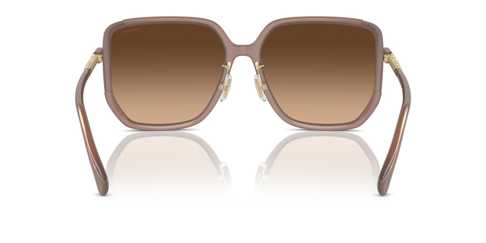 COACH-0HC8401D-580874-6416-SUNGLASSES