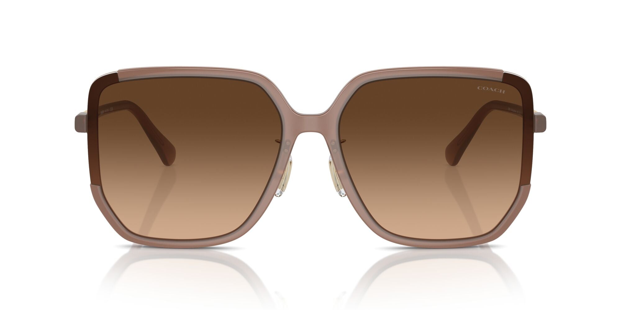 COACH-0HC8401D-580874-6416-SUNGLASSES