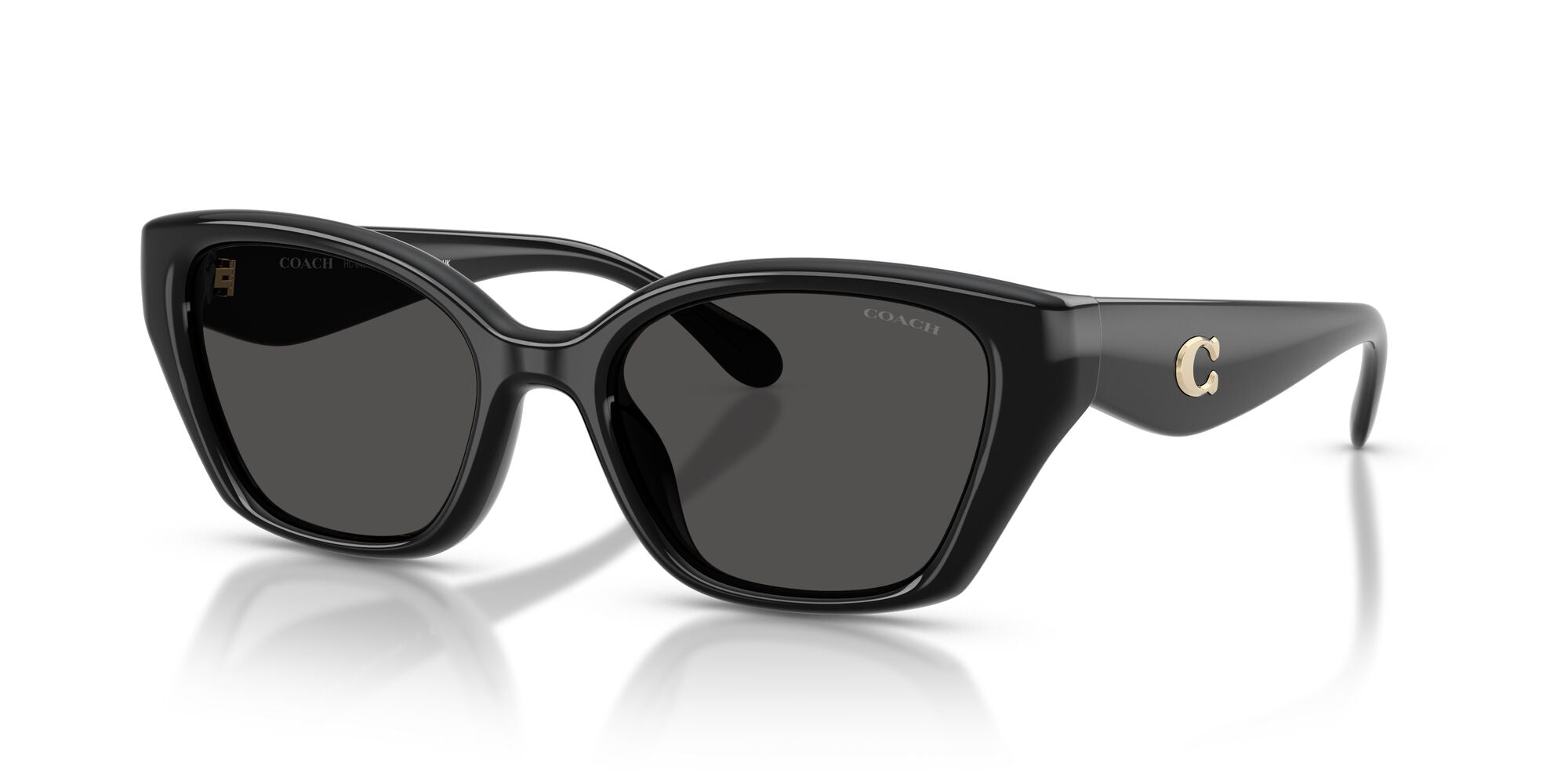 COACH-0HC8434U-500287-5319-SUNGLASSES product image