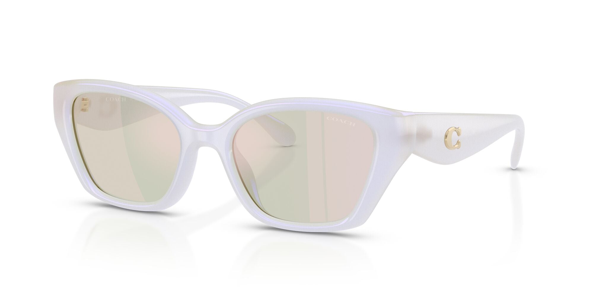 COACH-0HC8434U-5903RG-5319-SUNGLASSES product image