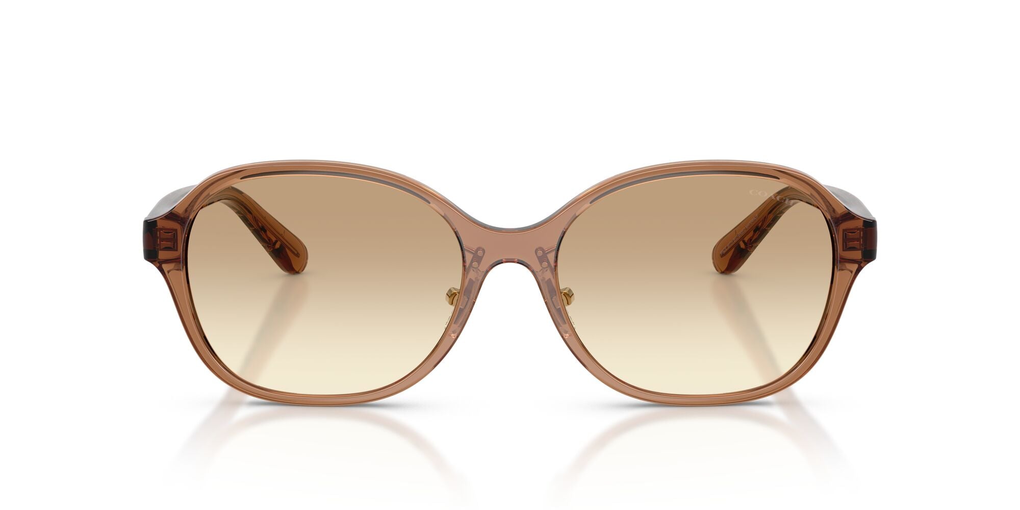 COACH-0CH8445F-565413-5617-SUNGLASSES