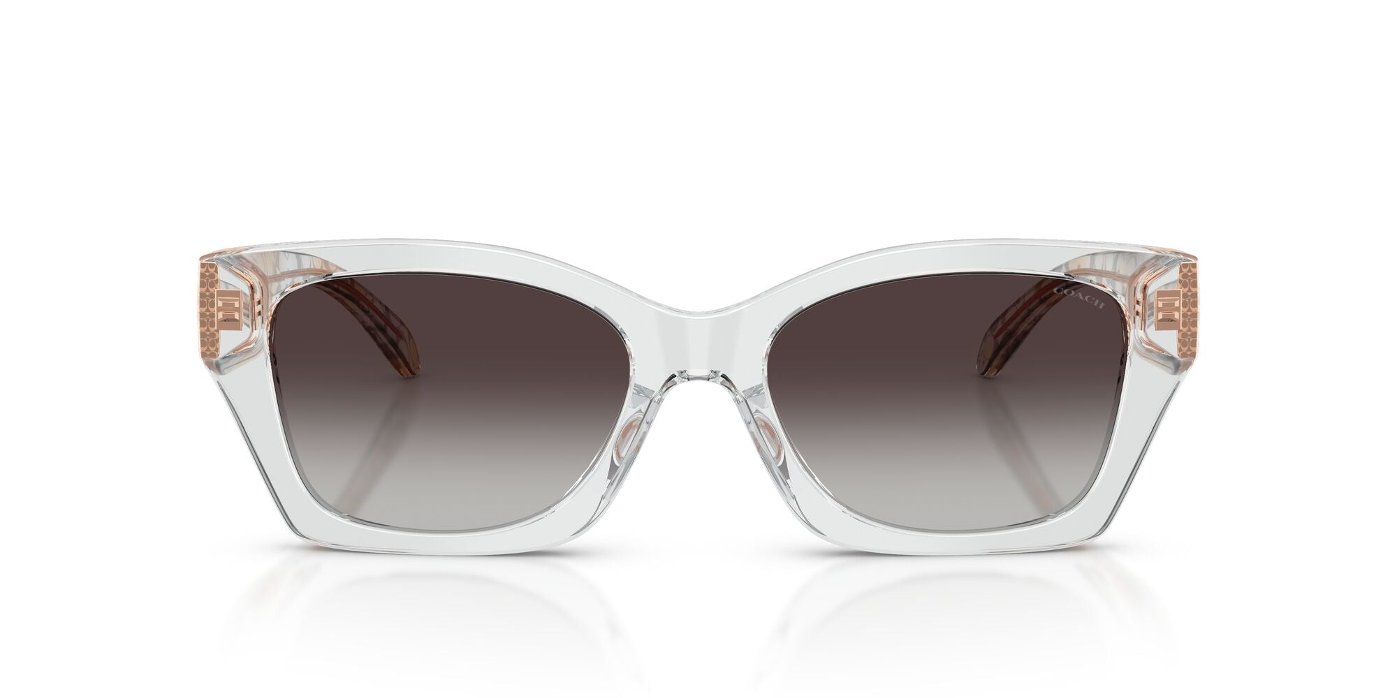 COACH-0HC8451U-59358G-5418-SUNGLASSES