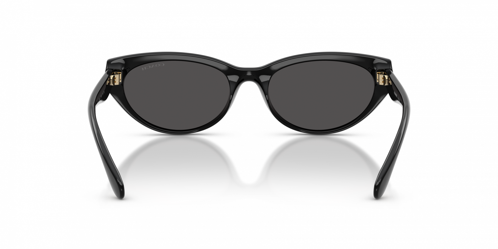 COACH-0HC8456D-500287-5518-SUNGLASSES