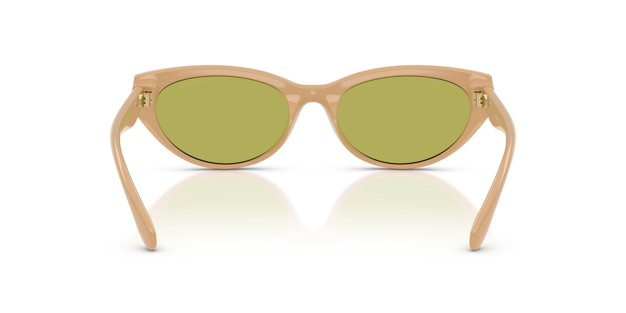 COACH-0HC8456D-5929/2-5518-SUNGLASSES