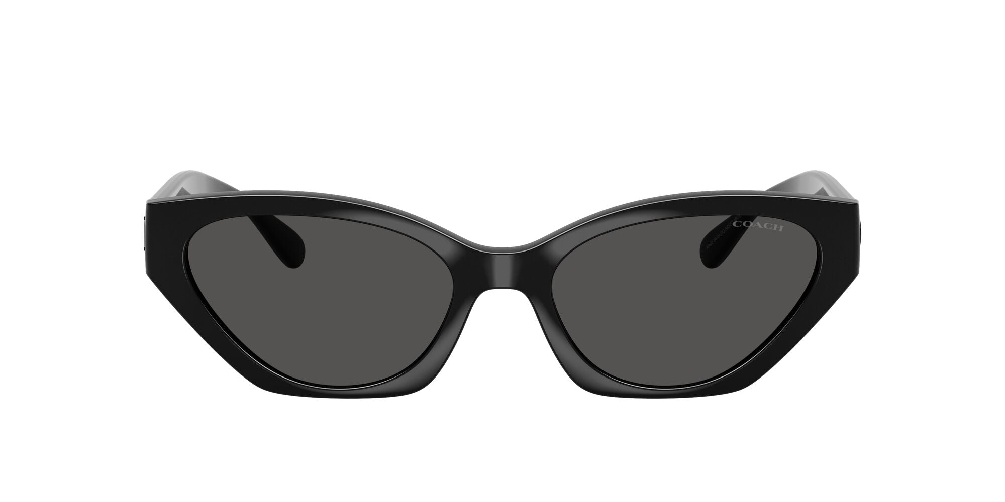 COACH-0HC8459U-500287-5518-SUNGLASSES