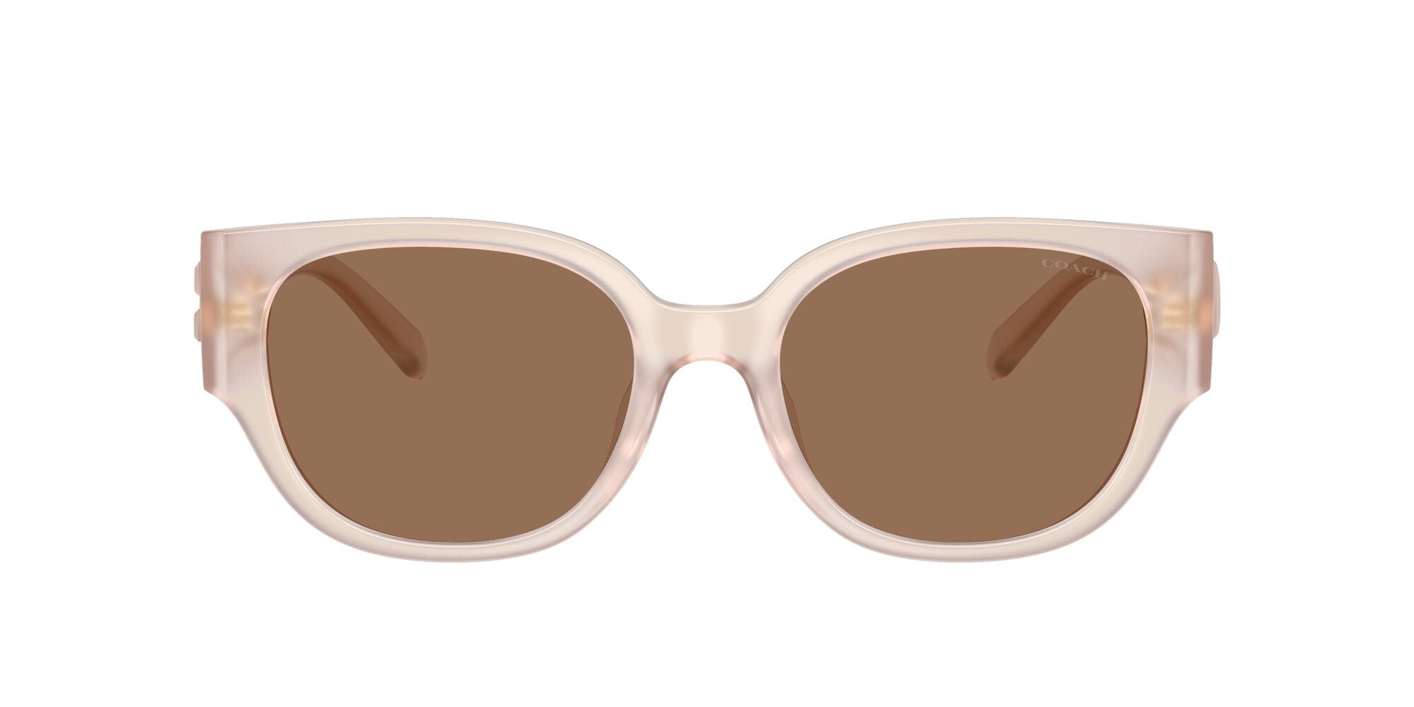 COACH-0HC8469D-597673-5419-SUNGLASSES
