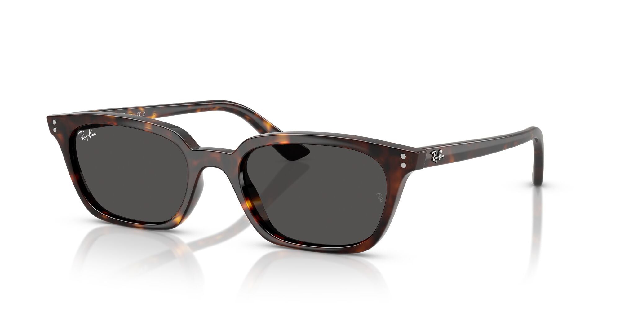RAY-BAN-0RB4456F-135987-5219-SUNGLASSES product image