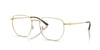 RAY-BAN-0RX8776D-1251-5319-SPECTACLE FRAMES