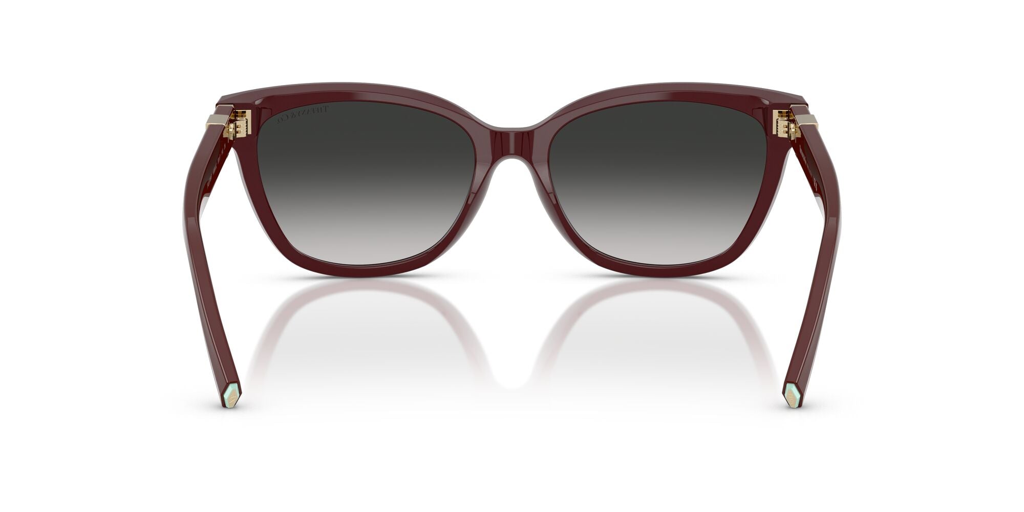TIFFANY & CO.-0TF4237BF-83893C-5517-SUNGLASSES