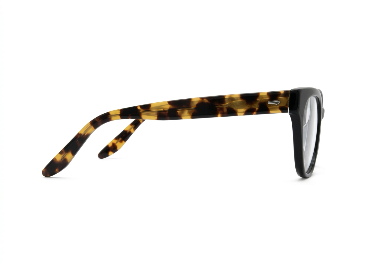 BARTON PERREIRA-VOLLMER BLACK [ALTE-BLACK-5019-GLASSES FRAMES