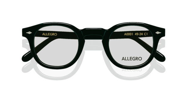 ALLEGRO-A0001S-C1/P-4924-SUNGLASSES product image