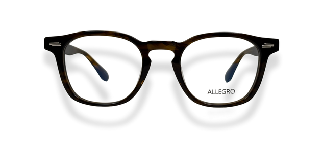 ALLEGRO-A0002-C23-5123-SPECTACLE FRAME
