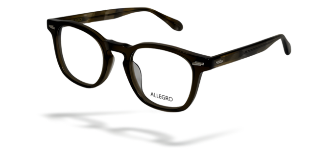 ALLEGRO-A0002-C4-5123-SPECTACLE FRAME