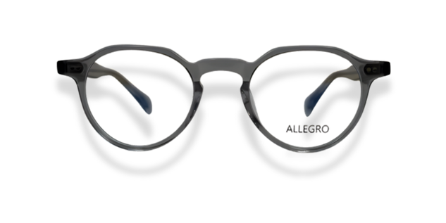 ALLEGRO-A0003-C10-4522-SPECTACLE FRAME