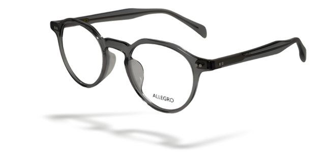 ALLEGRO-A0003-C10-4522-SPECTACLE FRAME