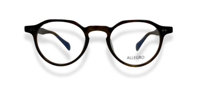 ALLEGRO-A0003-C3-4722-SPECTACLE FRAME