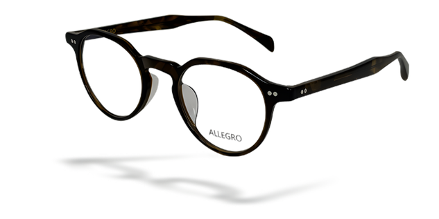 ALLEGRO-A0003-C3-4722-SPECTACLE FRAME