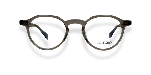 ALLEGRO-A0003-C4-4522-SPECTACLE FRAME