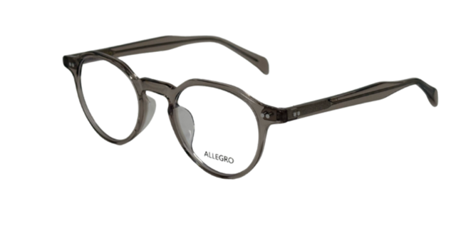 ALLEGRO-A0003-C4-4522-SPECTACLE FRAME