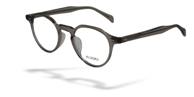 ALLEGRO-A0003-C4-4722-SPECTACLE FRAME