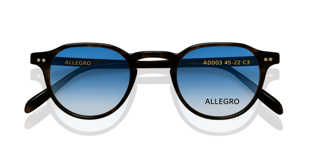 ALLEGRO-A0003S-C3/B-4722-SUNGLASSES product image