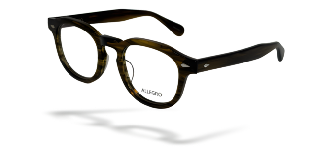 ALLEGRO-A0005-C3-4923-SPECTACLE FRAME