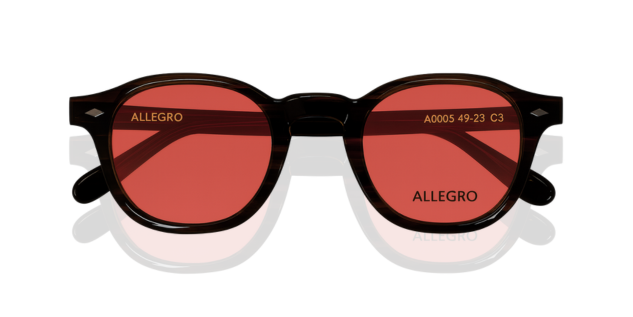 ALLEGRO-A0005S-C3/O-4923-SUNGLASSES product image