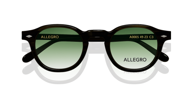 ALLEGRO-A0005S-C3/G-4923-SUNGLASSES product image