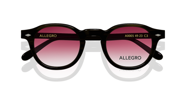 ALLEGRO-A0005S-C3/P-4923-SUNGLASSES product image