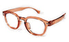 SIGNATURE-AC1016-C3-4619-SPECTACLE FRAME
