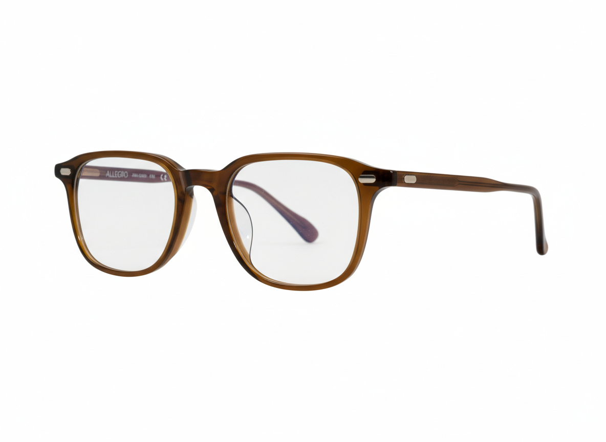 ALLEGRO-A0013-C3-5021-SPECTACLE FRAME product image