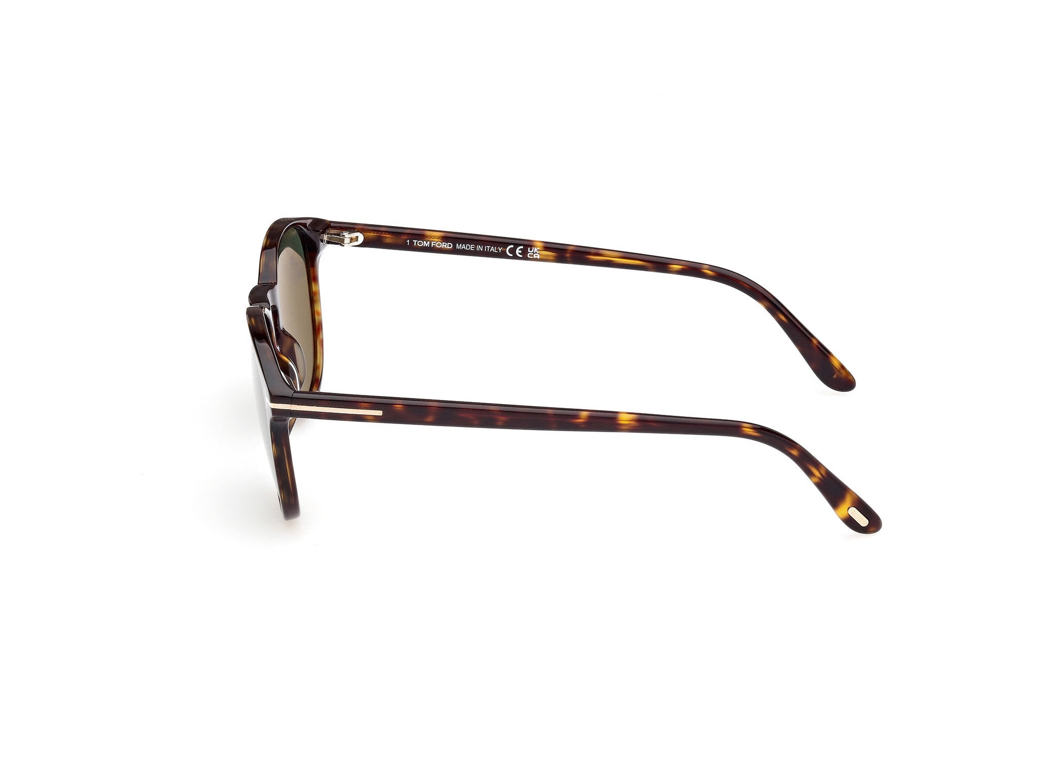 TOM FORD-FT1097-52N-5319-SUNGLASSES