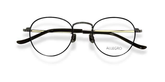 ALLEGRO-T1001-C1-4924-SPECTACLE FRAME product image