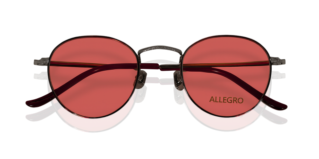 ALLEGRO-T1001S-C2/O-4923-SUNGLASSES product image
