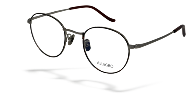 ALLEGRO-T1001-C2-4924-SPECTACLE FRAME