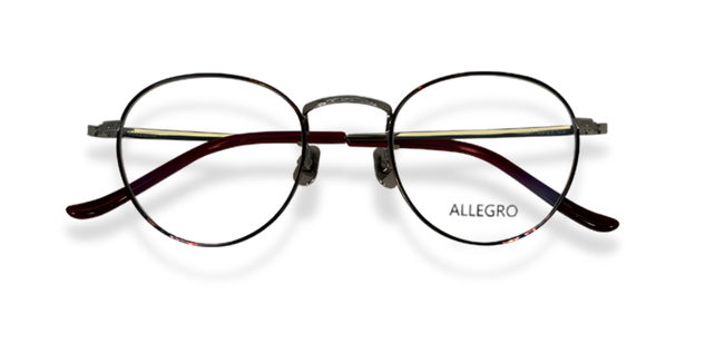 ALLEGRO-T1001-C2-4924-SPECTACLE FRAME product image